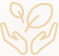 spa3-icon_offer2